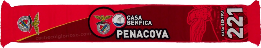 cachecol casa do benfica de penacova 221