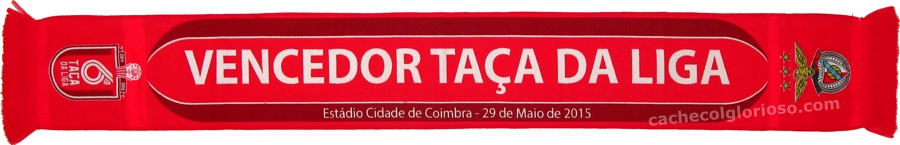 cachecol benfica vencedor taca da liga 6 2014-15 5124