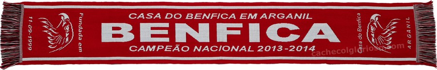 cachecol casa benfica arganil campeao 2013-14