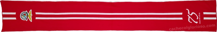 cachecol benfica